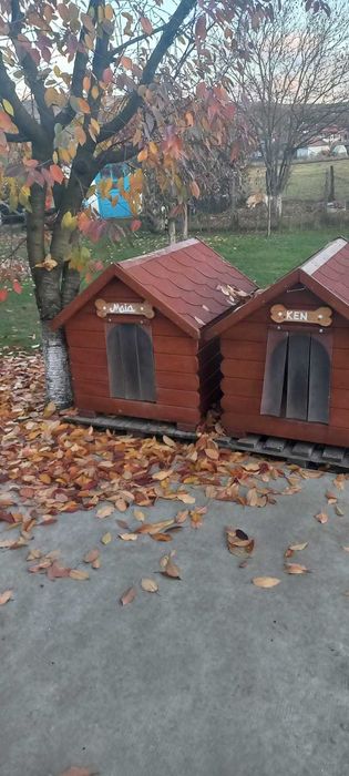 Vand 2 casute pt caini