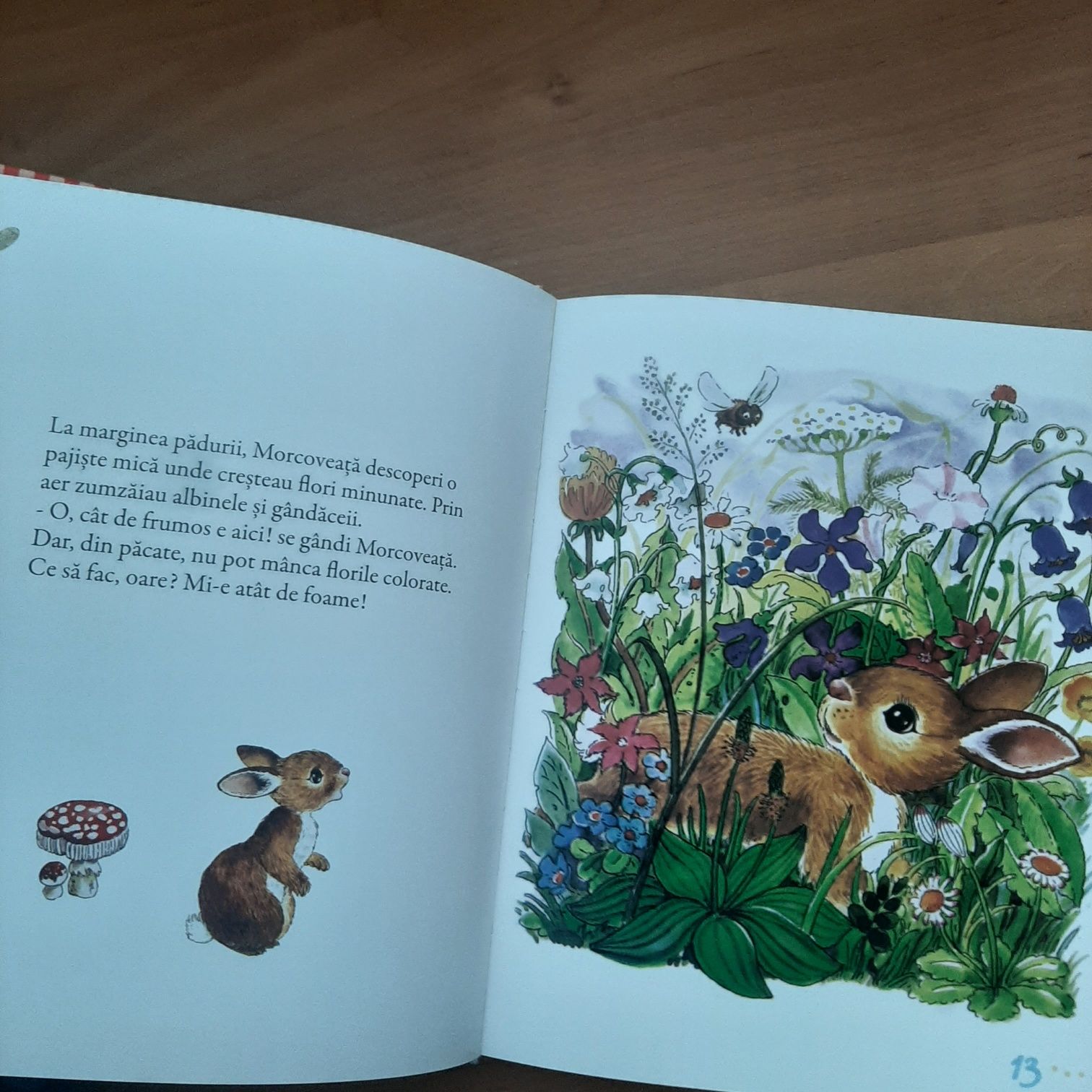 Carte copii ilustrata nouă