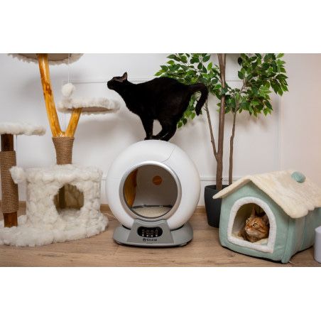 Litiera automata SHAW