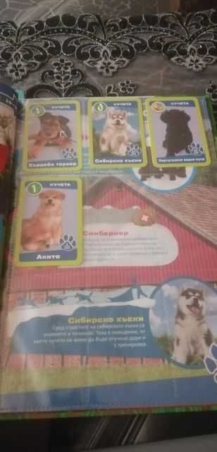 Албуми с картички и стикери от Била, Кауфланд и Пикадили