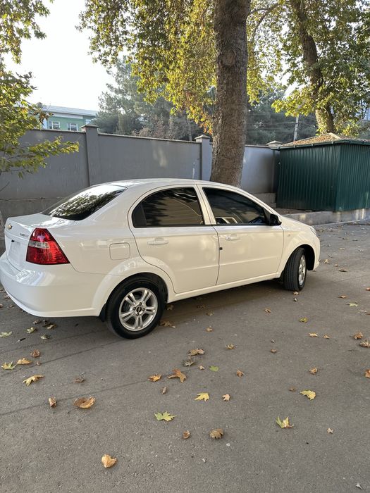 Nexia 3 kraska tozza