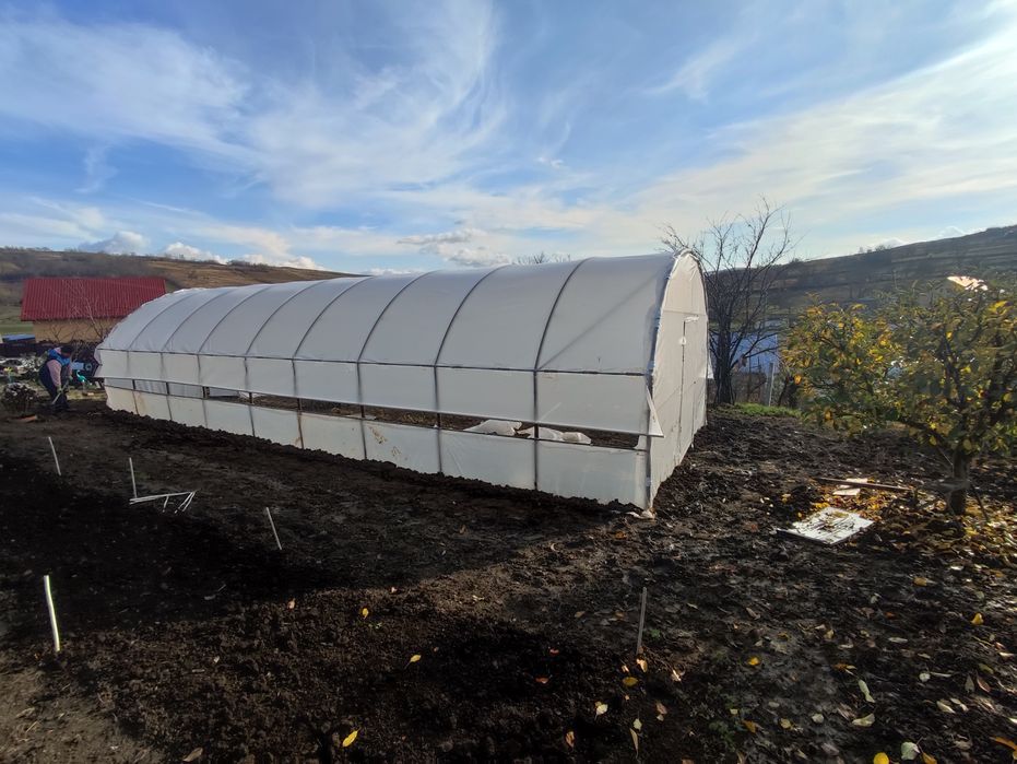 Solaris,sere gradina