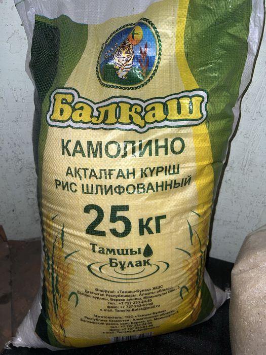 Рис баканас куриш