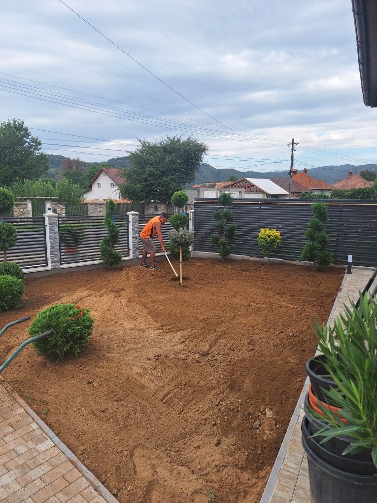 Amenajări grădini de la A la Z Gazon și plante ornamentale