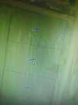 Teren te vanzare 2000 mp