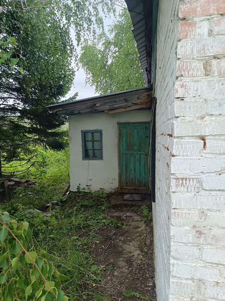 Продам дом в Топихе