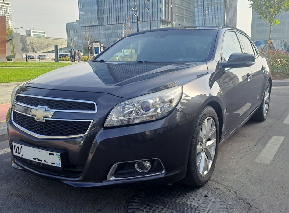 Malibu 1, 2 pozica