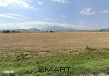 Teren 4,7ha, deschidere 200ml, Rasnov la DN73