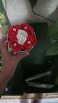 Aranjamente florale din trandafiri de sapun 20 de lei bucata