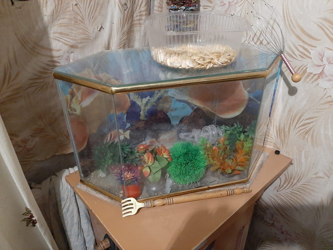 Аквариумы разные
