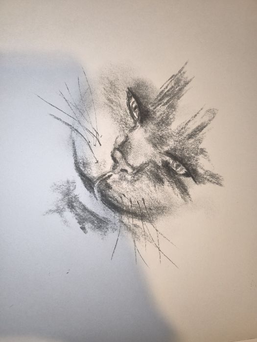 Картини различни