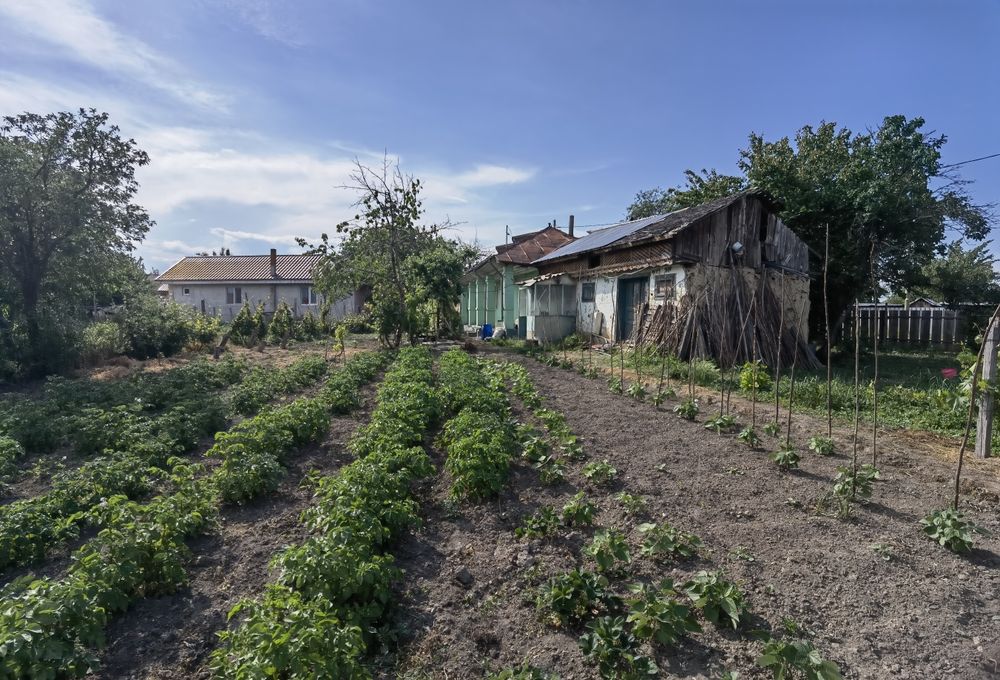 Teren intravilan de vanzare