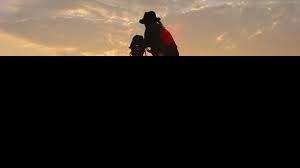 Коминочистач русе