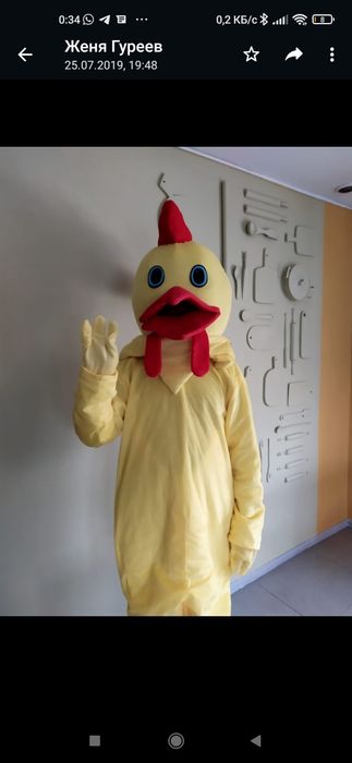 Роставой костюм курица и ход дога