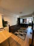 Apartament de inchiriat 2 camere Novum Splai Regie