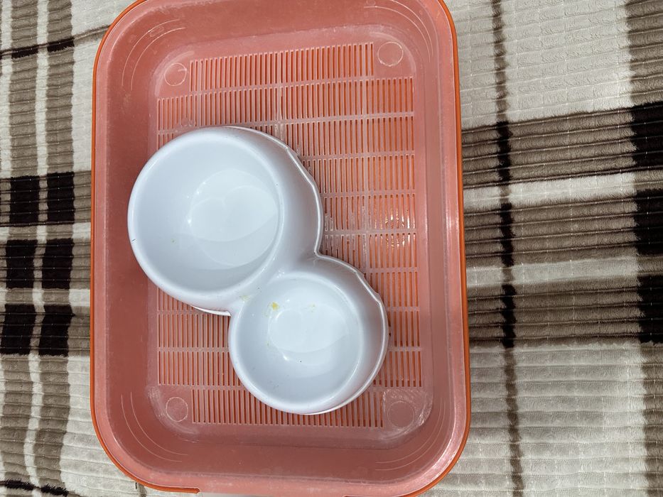 Продам лоток для кошки и с двуми мисками