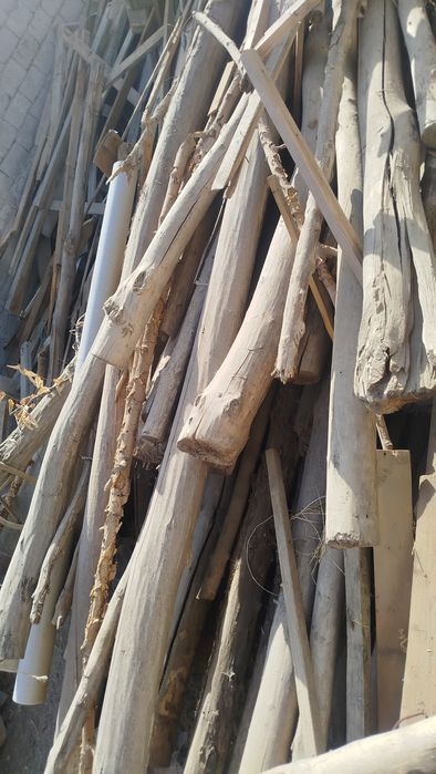 Tosinla sotiladi 5 metirgacha xarxil razmerda chornigayam bor