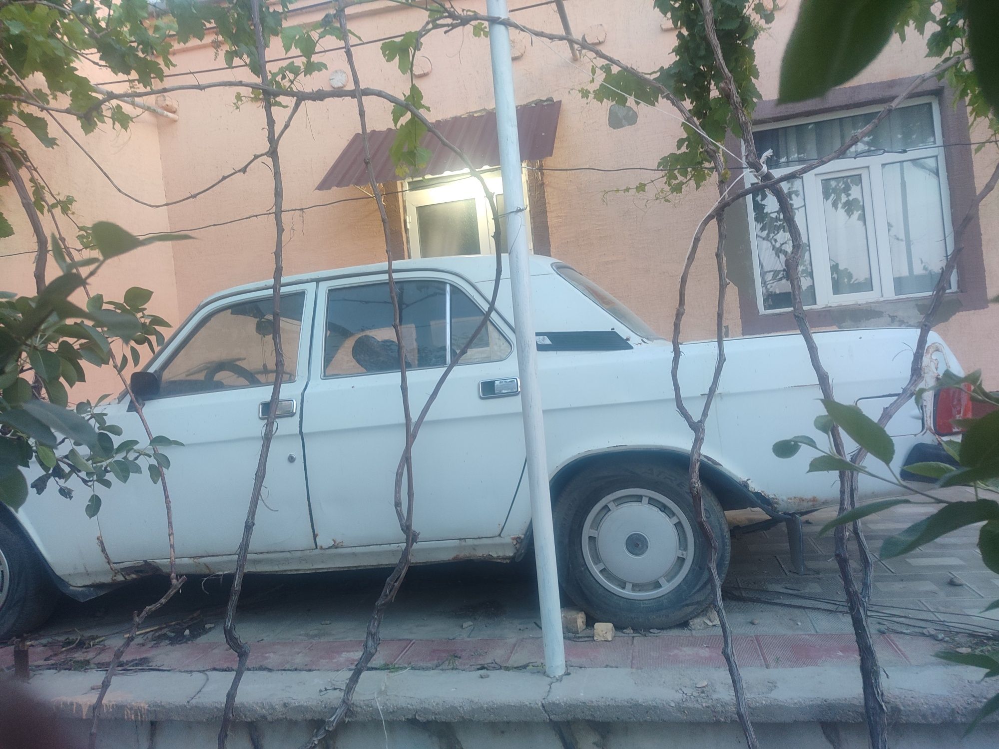 Volga gaz 31029..
