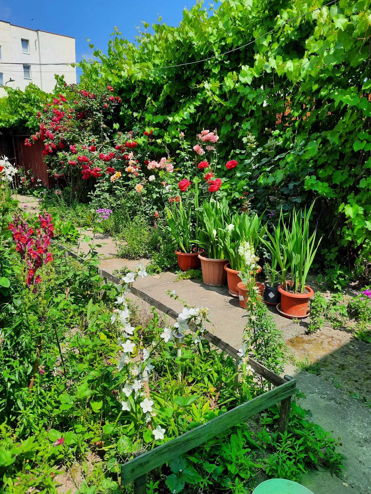Casă de vânzare în Reghin