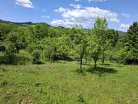 VAND TEREN IN NUCSOARA DE JOS,aproape de Vălenii de Munte