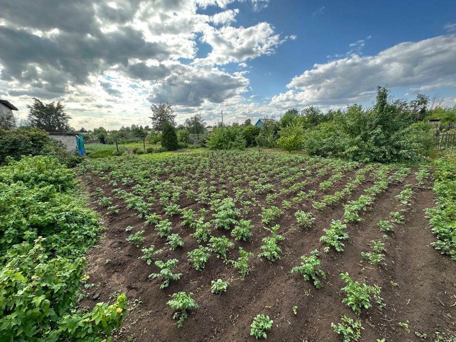Продам дачу в садоводстве Здоровье