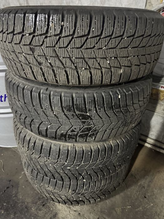 Проам зимние шины