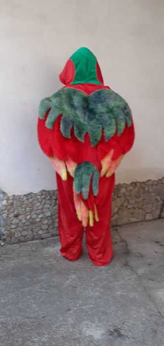 Карнавален костюм на папагал