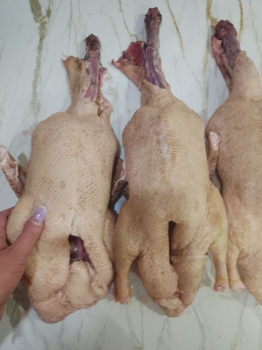 Продам уток свежих
