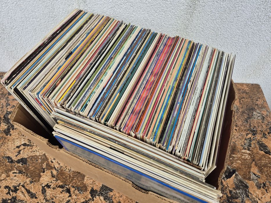 Vând Lot 200lp Discuri Vinil muzică clasică mixta pentru pick up

Arti