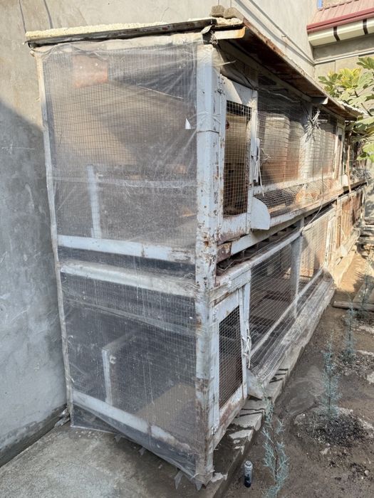 Паррандалар учун кафаслар сотилади