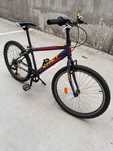 Bicicleta pentru copii 24 inch, X Fact, Joker