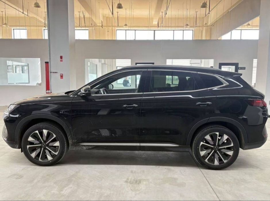 Byd chempion smart 605