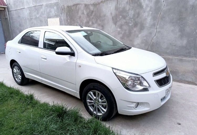 Cobalt LTZ 2025 STAYL