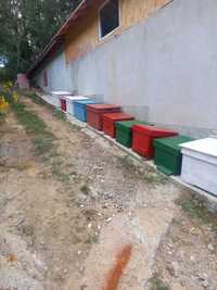 Cutii pentru albine