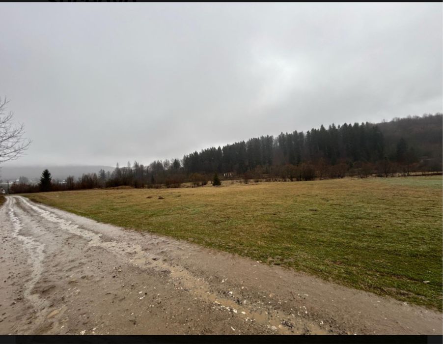 Teren extravilan,4150 mp,zona de cabane Paltinoasa, Suceava