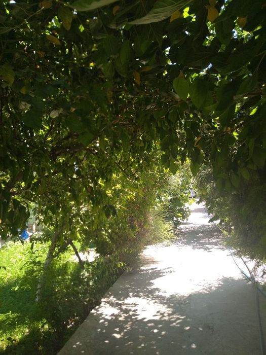 Продаю дом.в старом городе