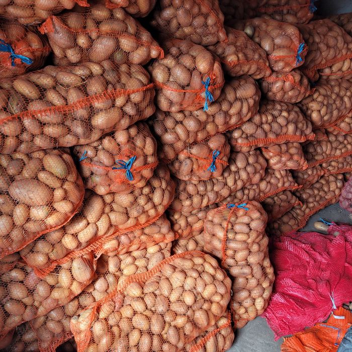 Vând cartofi consum