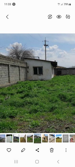 2.5 соток Лимонария Размер 10х25