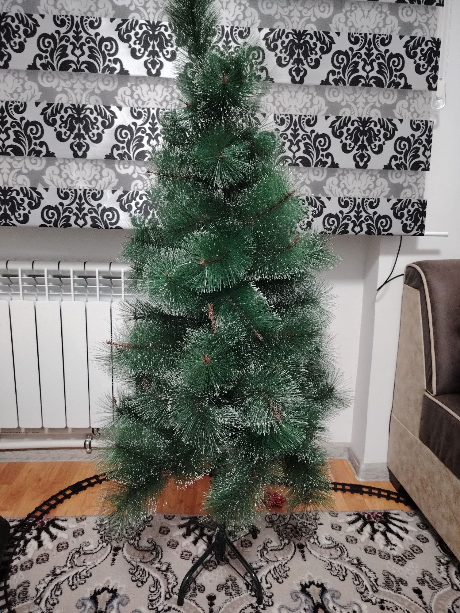 Archa елка fir tree