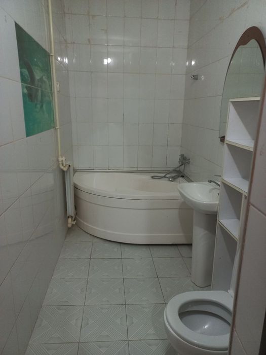 Kotej sotiladi savxo'z yo'lni yuzida