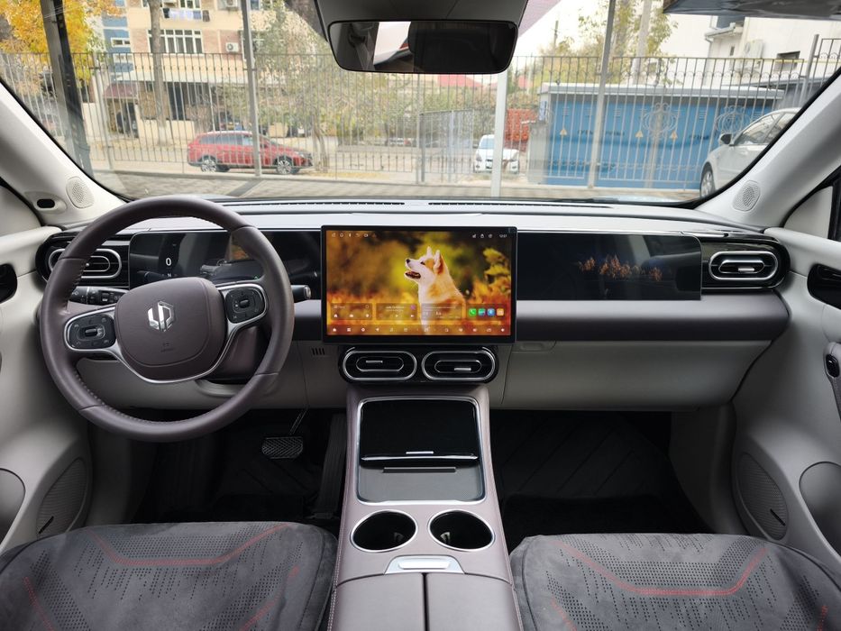 Leapmotor c11 hybrid