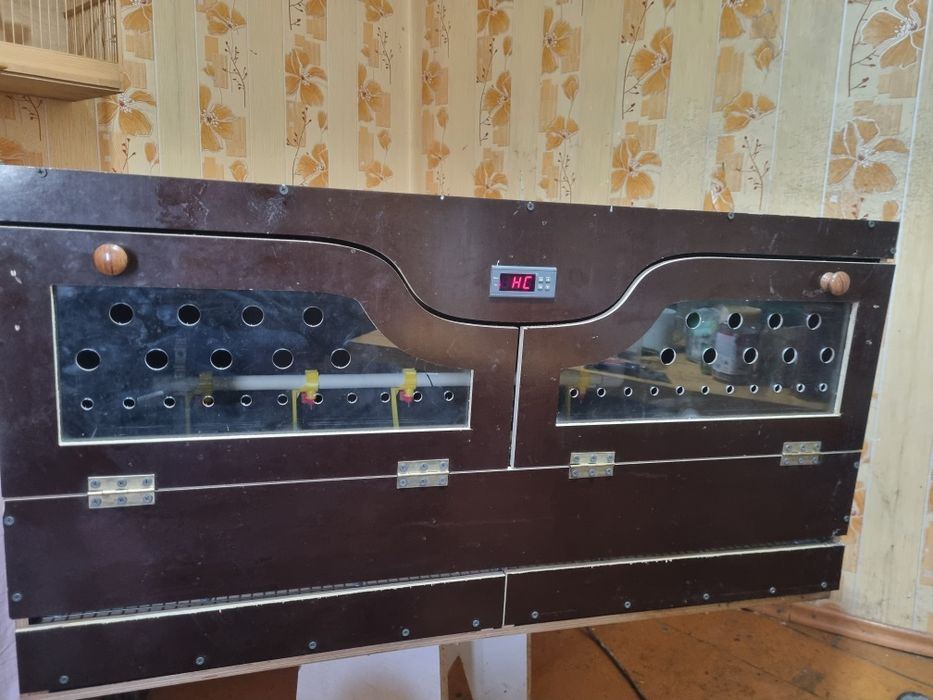 Брудер для птицы