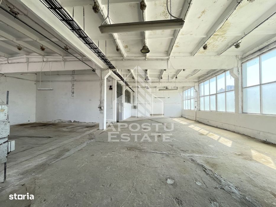 Hala depozitare sau productie, 470 mp, Zona Buziasului