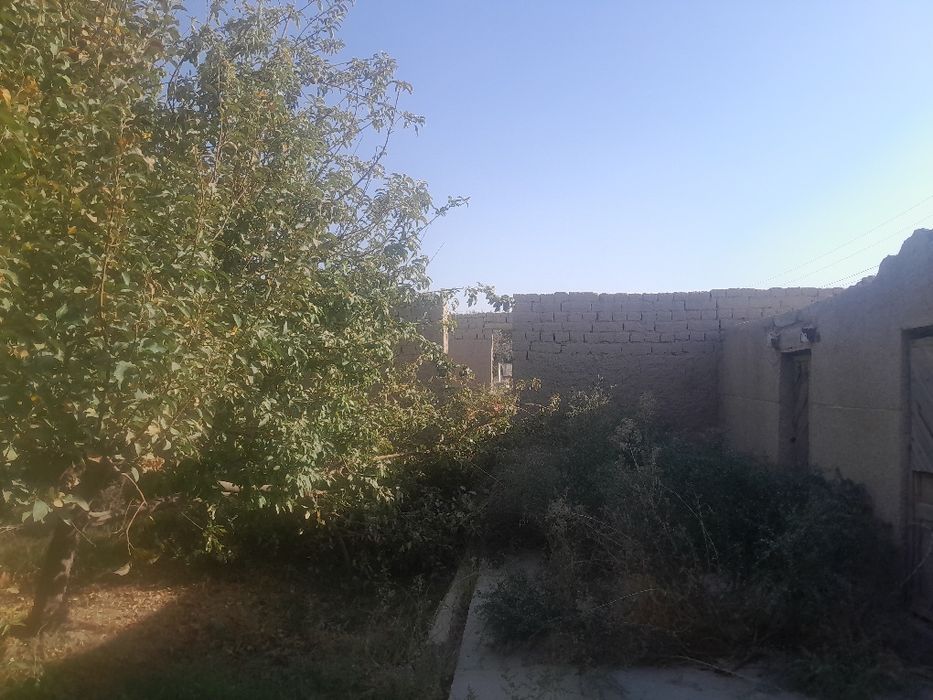 Dacha sotiladi karmanada