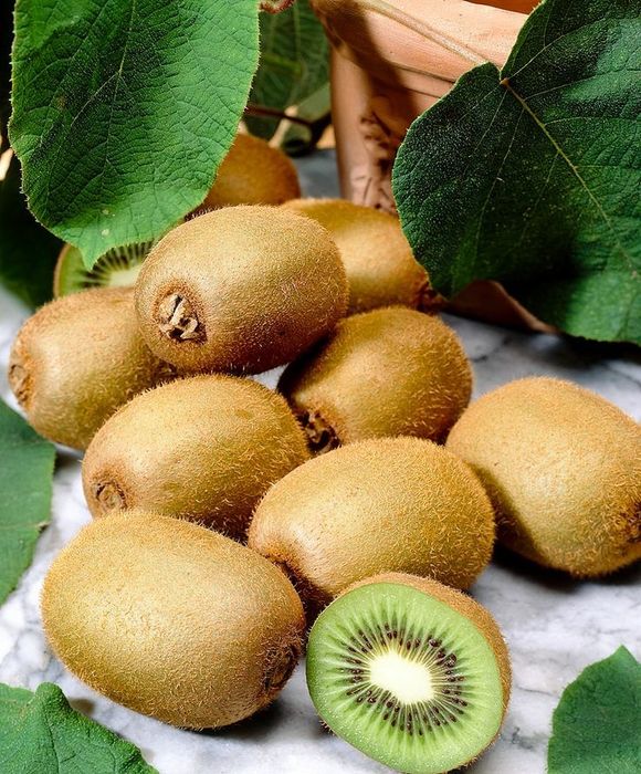 Kiwi rezistent .