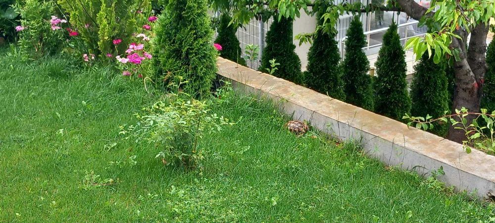 Продава се Къща в Стара Загора, Аязмото - 98 кв.м за 1171 €/кв.м - Снимка #8