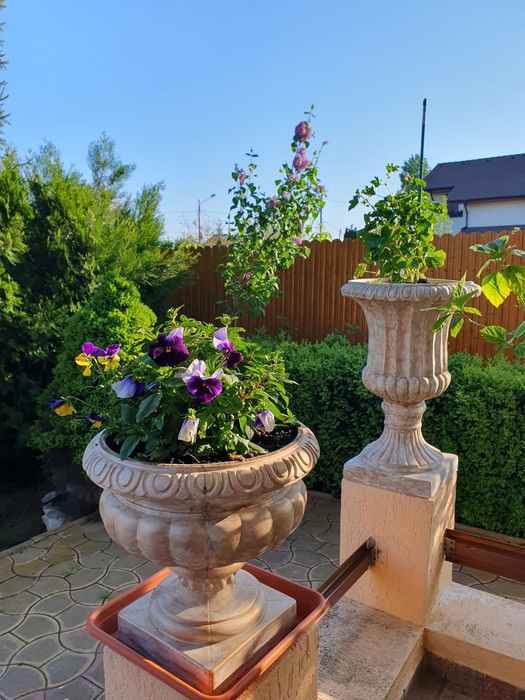 Ghivece flori ornamentale de exterior (Praf de marmura sau beton)