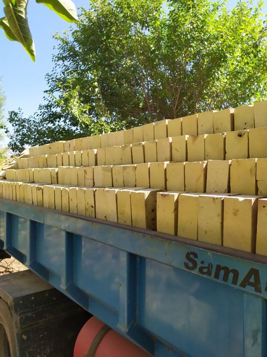 Gisht pshig’ gisht