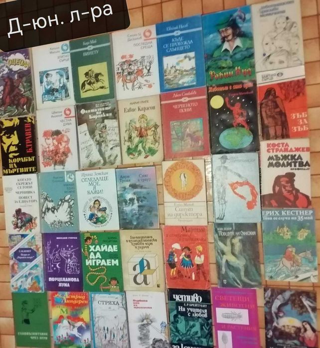 Детско -юношеска литература