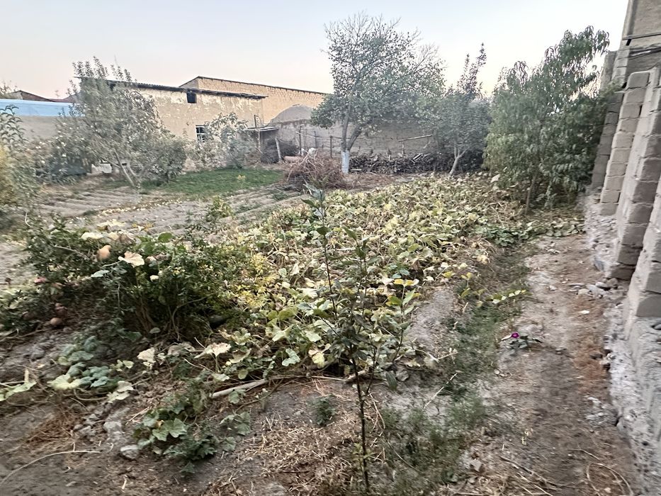 Tayyor yer sotiladi sutig’i 9000$ xujjati bor